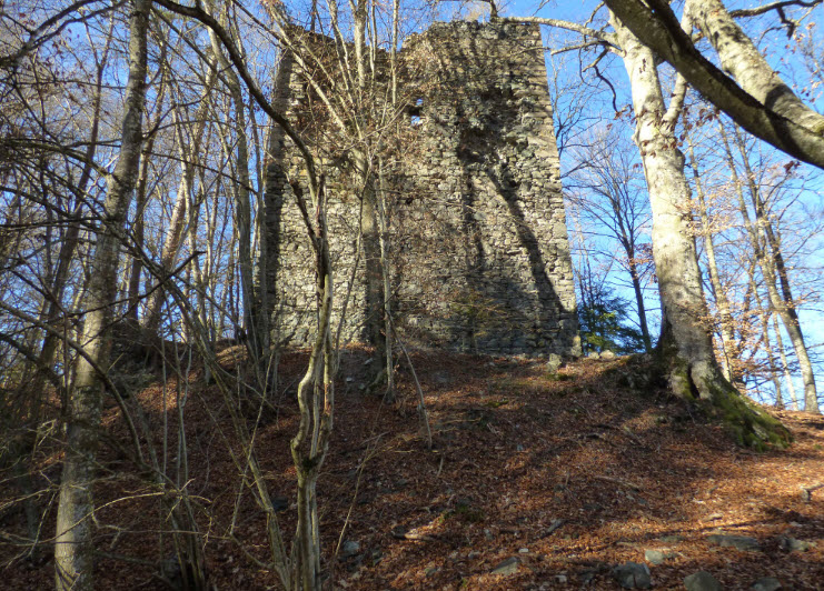 Burg Karlsberg (Kärnten), Sankt Veit an der Glan, Austria, Austria